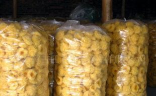 產(chǎn)地直銷，品質(zhì)無憂 古田銀耳（白木耳）的農(nóng)副產(chǎn)品魅力
