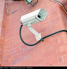 凝視之眼 磚墻上的白色守護者